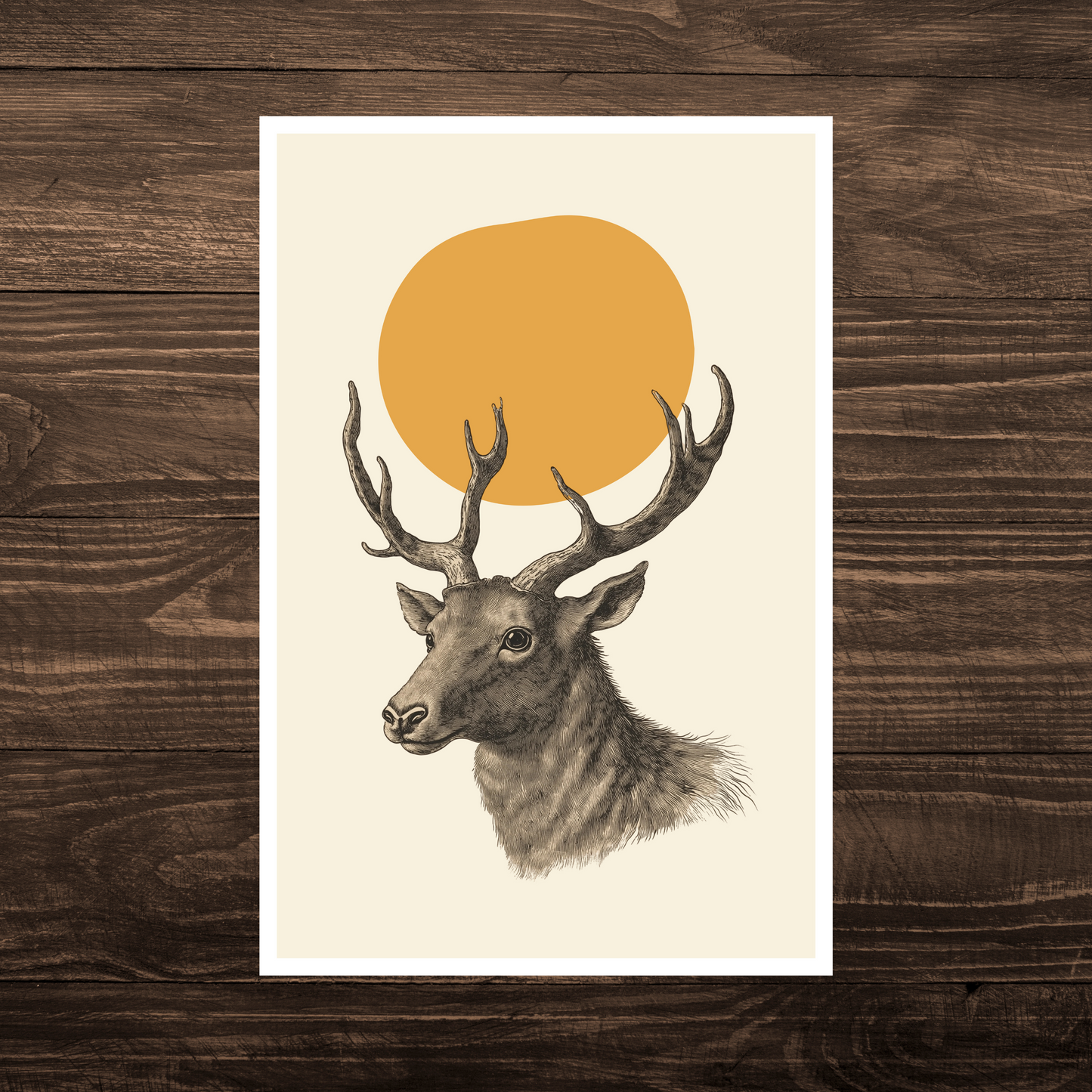 Elder Buck Print